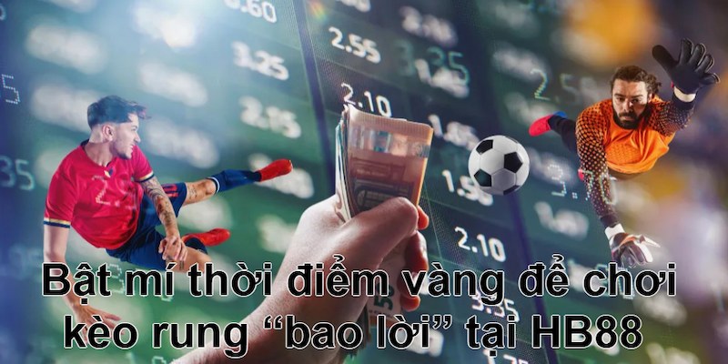 Hội viên cần nắm bắt thời điểm vàng chơi kèo rung