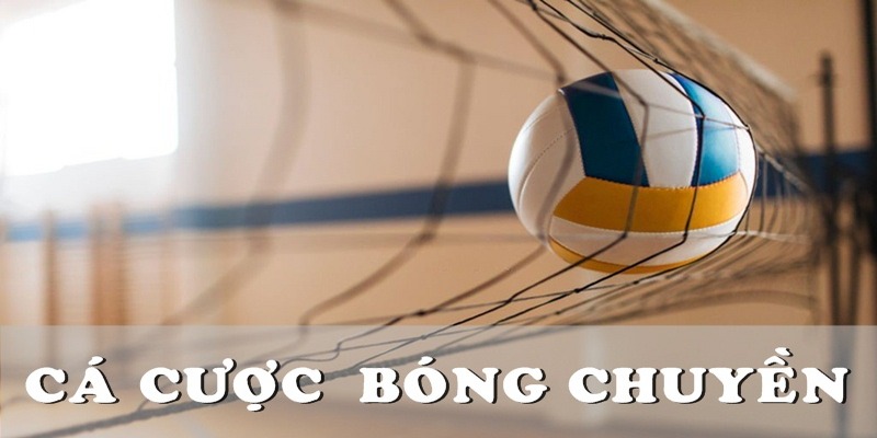 Danh mục kèo bóng chuyền siêu kịch tính từ sảnh cược IM Sports